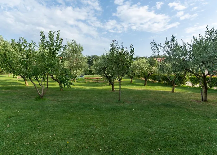 Fiorini Fiorini